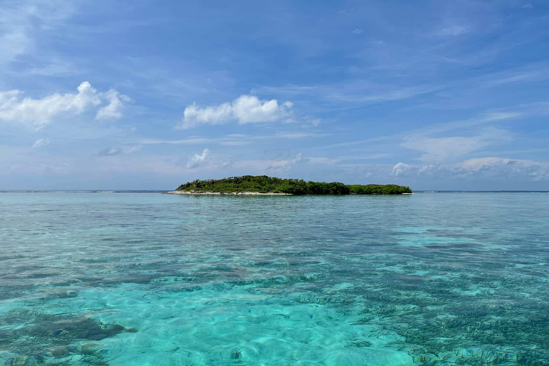 Northern Pelican Caye - 1.6 Acre Private Island on the Turneffe Atoll ...